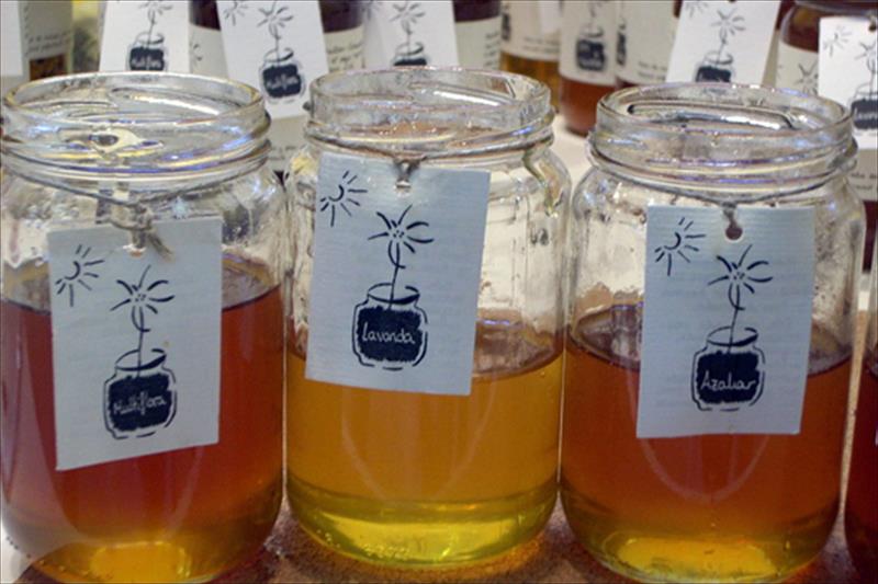 El Ministerio quiere fomentar la producción, envasado y venta de mieles monoflorales