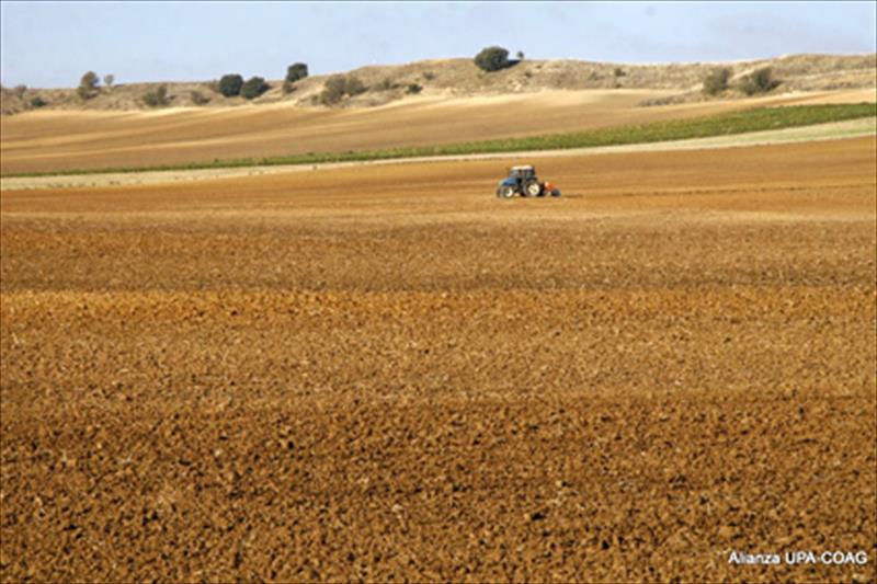Castilla y León convoca ayudas a las organizaciones agrarias por valor de 880.000 euros