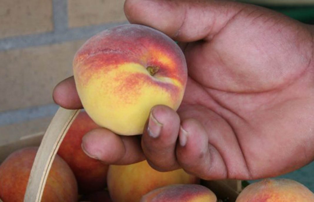 Fruta de verano: denuncian que la distribución sigue haciendo el agosto a costa de consumidores y productores