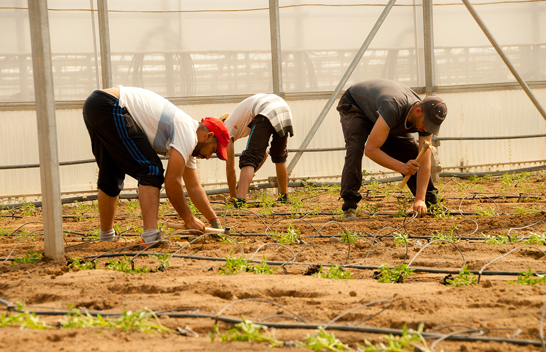 Mensaje claro: «La agricultura española necesita a las personas inmigrantes para seguir adelante»