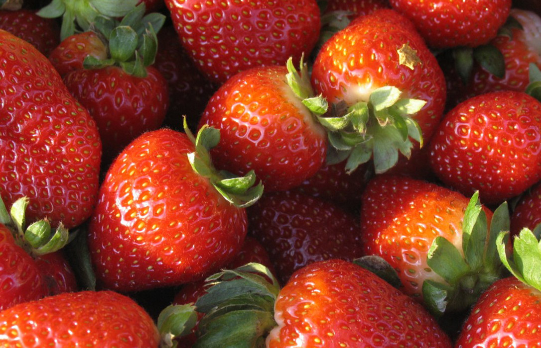 Los científicos buscan en los genes las claves del sabor de las fresas y tomates