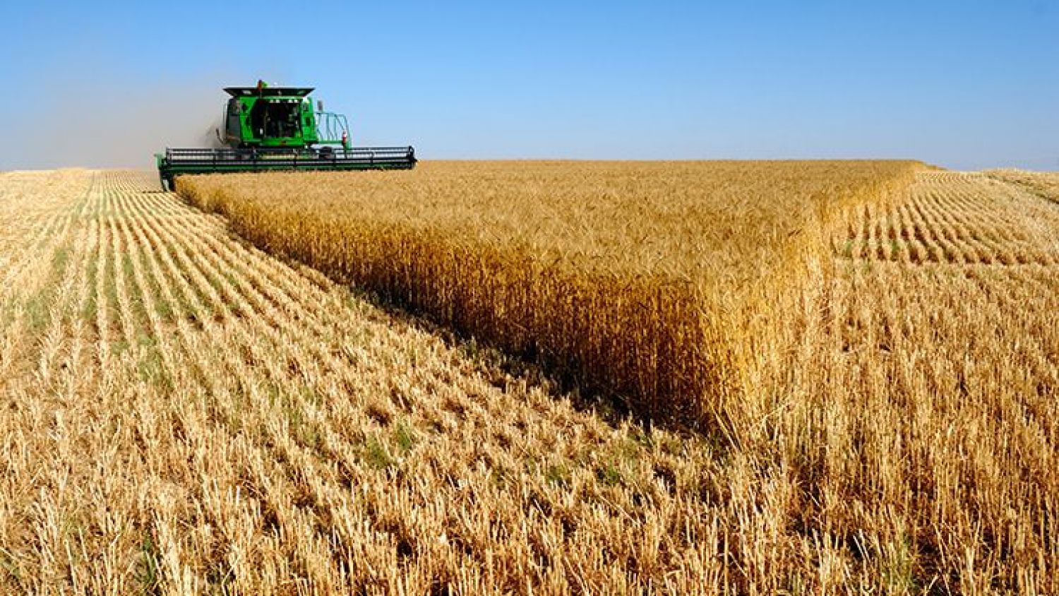 Retraso importante en la cosecha de cereales en León que frena el inicio de la campaña de regadío