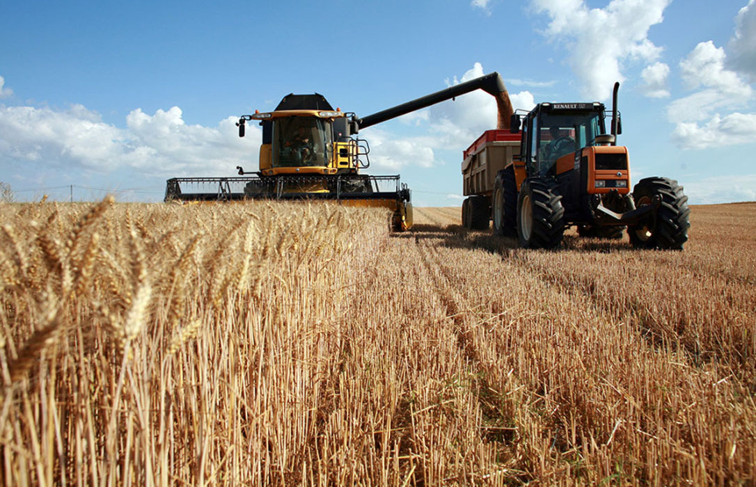El sector cerealista se harta de los precios: Exigen una subida de la misma forma que sucede a nivel internacional