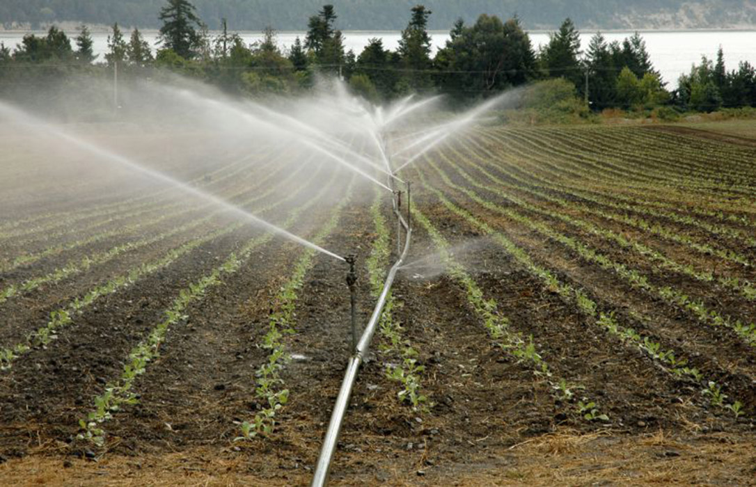 Una tesis propone crear un seguro agrario para compensar las pérdidas en regadío por la sequía