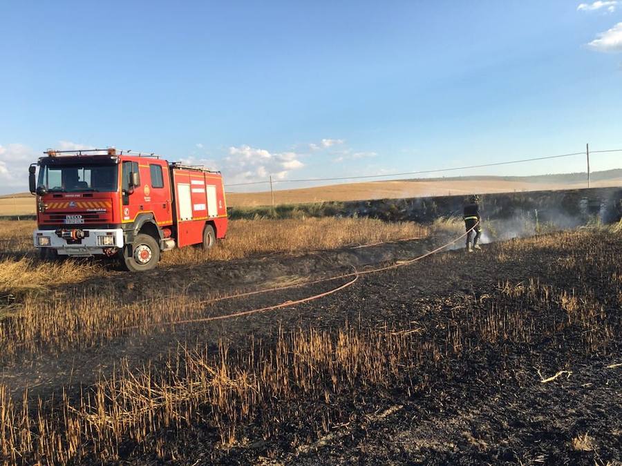 Un incendio quema en menos de dos horas 38 hectáreas de cereal en Valladolid