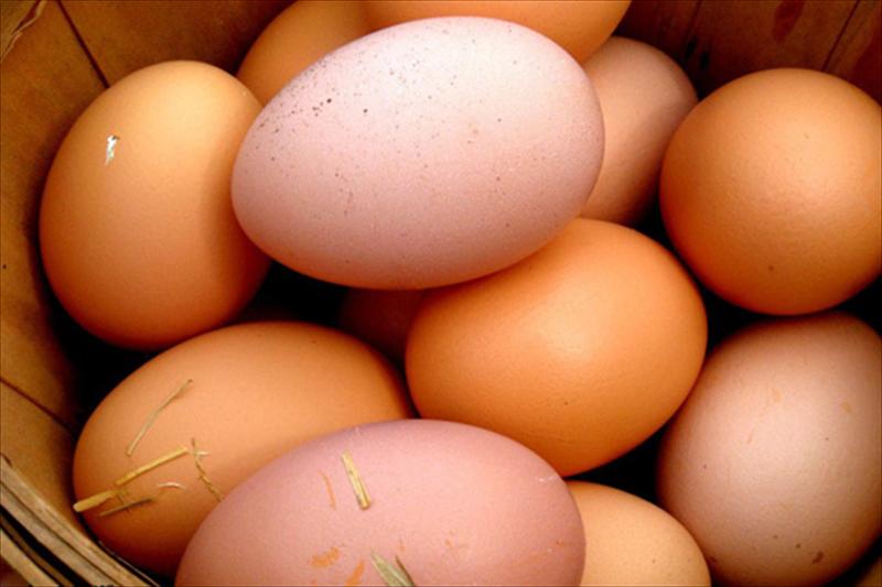 Crece la facturación en el sector del huevo en un 48.61% respecto a 2016