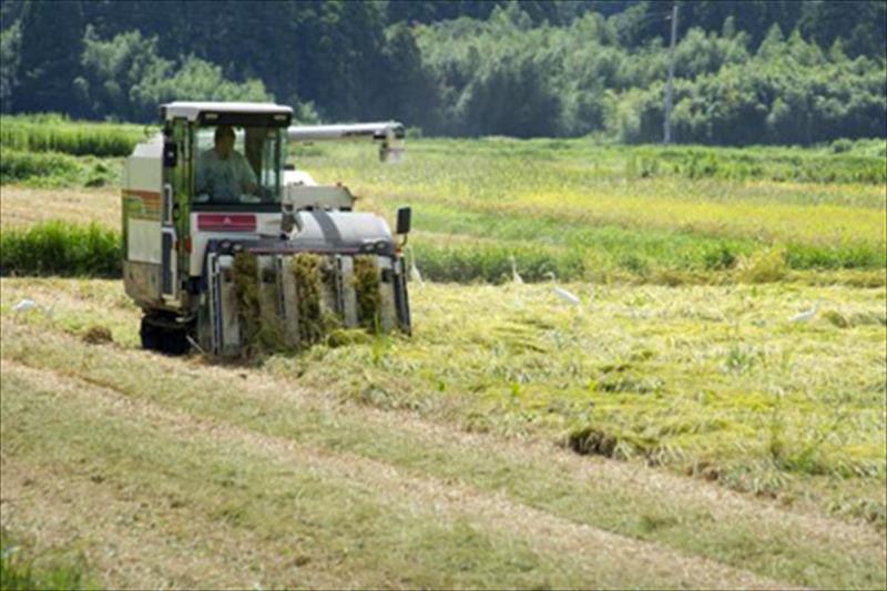 El paro en agricultura sube un 1,7% en junio, pero baja un 8,9% interanual