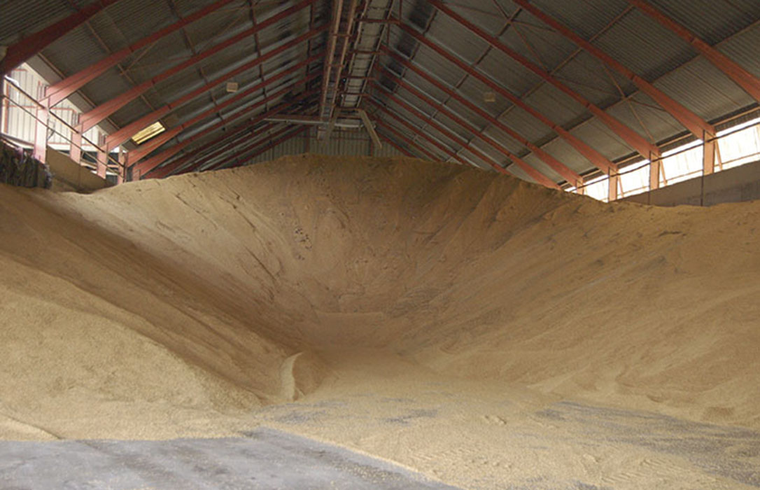 Comienza a cotizar el trigo en la lonja de León a 168 €/t en finca y 171 €/t puesto en almacén
