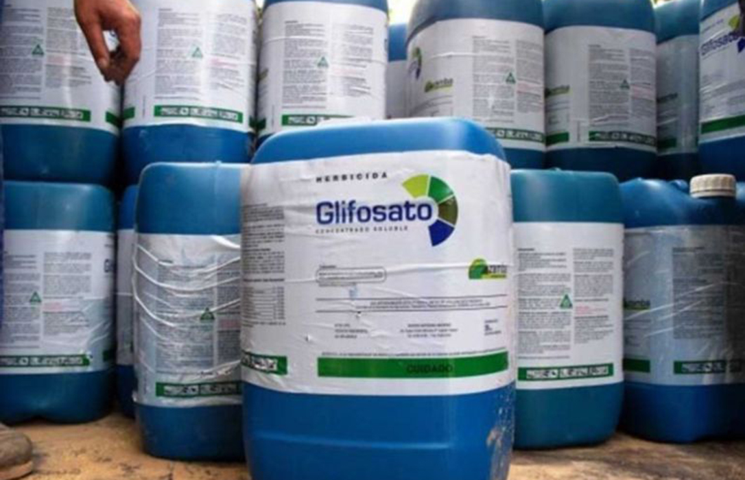Glifosato: Monsanto, condenada a pagar 289 millones de dólares por los efectos cancerígenos del herbicida