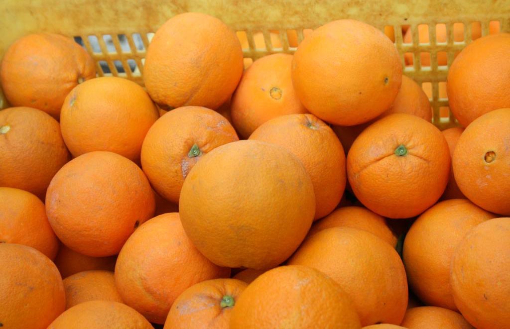 Las exportaciones de naranja andaluza descienden un 9% en volumen pero solo el 1% en valor