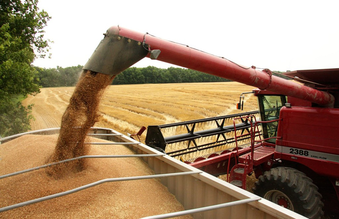 Los precios de los cereales siguen subiendo con el trigo blando y la cebada ganando hasta 8 euros