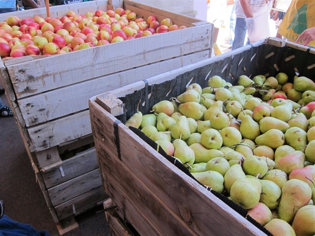 Reclaman que los productores de fruta puedan acceder a las ayudas de los fondos operativos