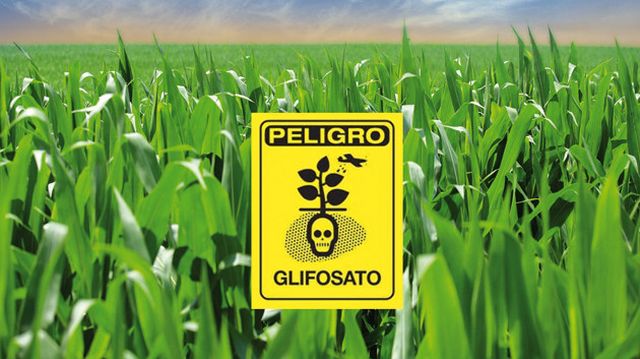 Las acciones de Bayer caen un 11% por la condena a Monsanto por efectos cancerígenos del glifosato