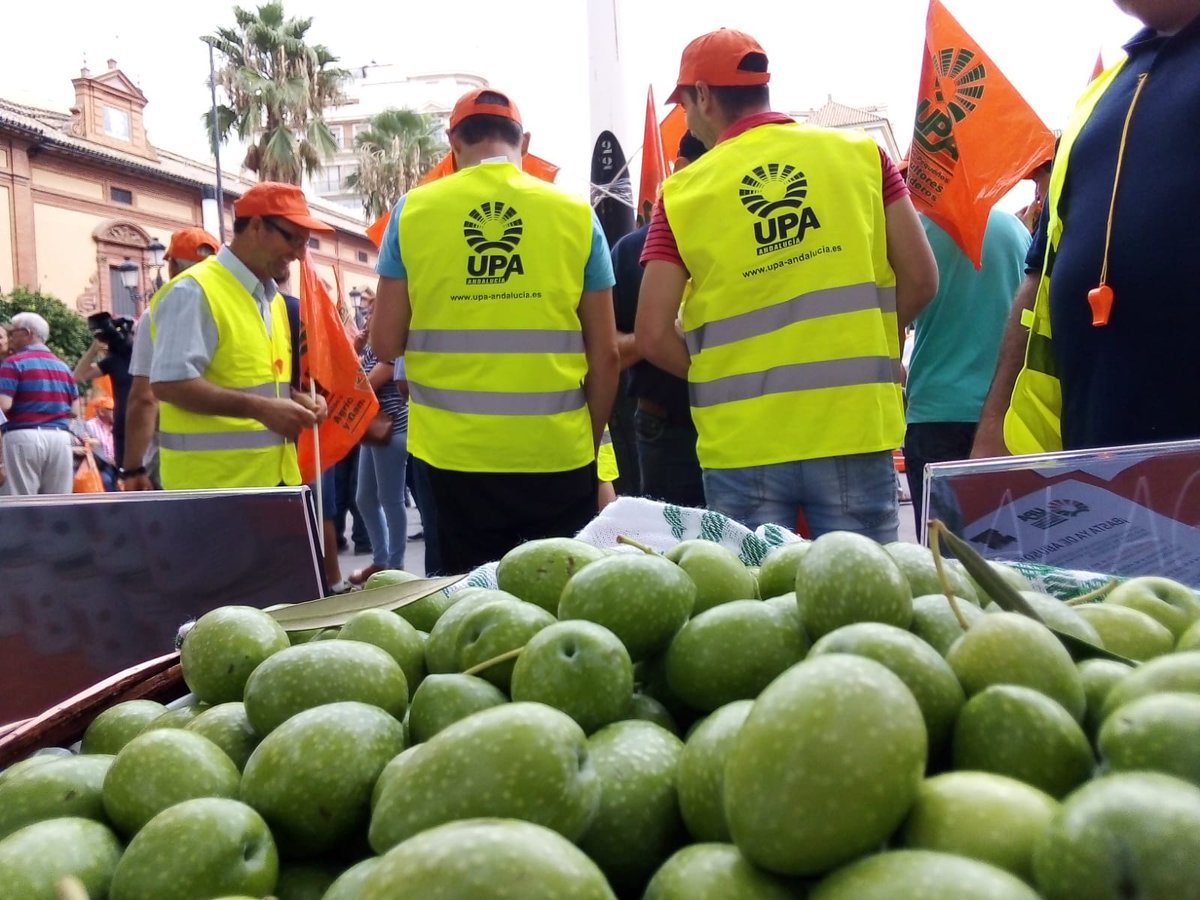Decenas de agricultores protestan en Sevilla contra los bajos e «insostenibles» precios en origen en la aceituna de mesa