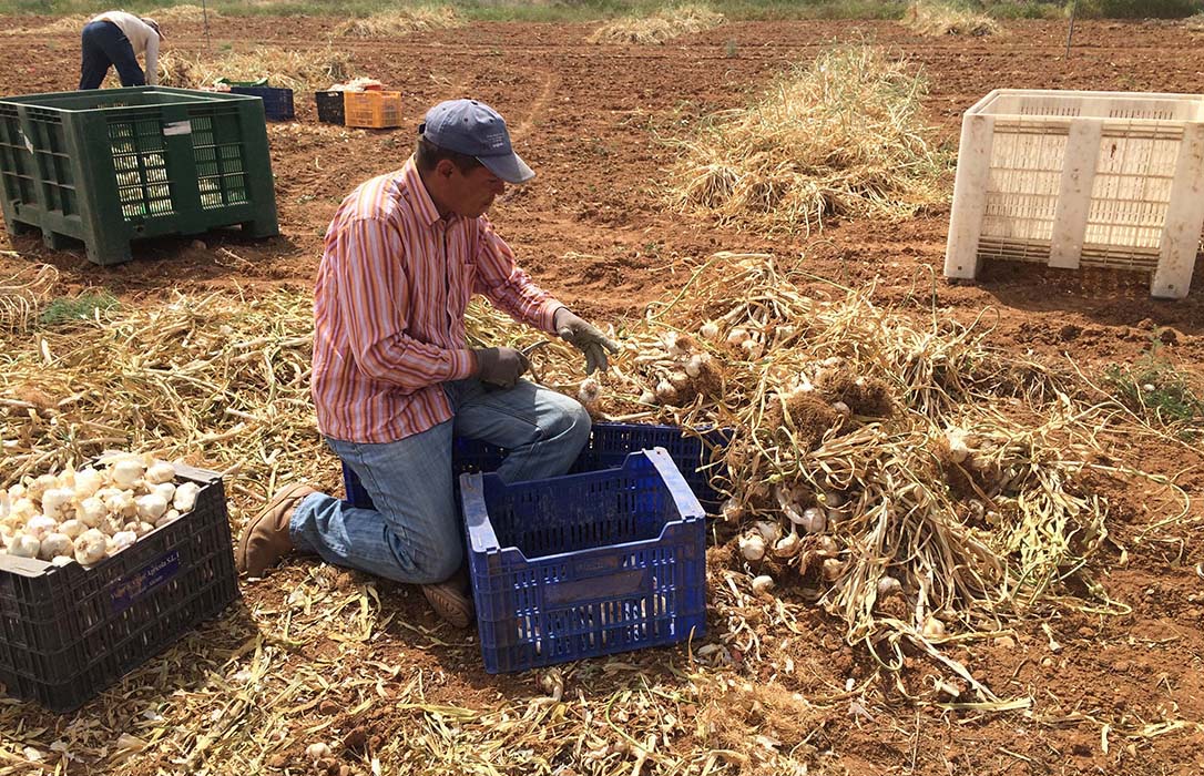 Agri-preven: Once medidas de UPA para incrementar la seguridad de los trabajadores del campo
