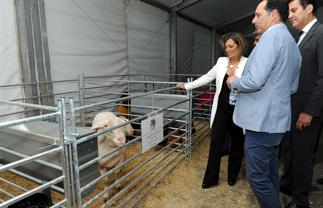 Arranca Ovinnova, la gran feria europea del ovino para impulsar un sector que mueve 2.000 millones en España