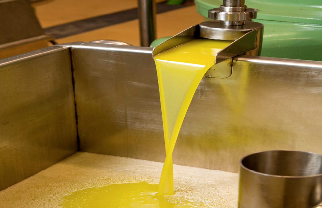 En un semana convulsa, el precio del aceite de oliva se queda sin una tendencia clara