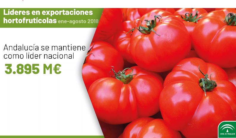 Las exportaciones de frutas y hortalizas andaluzas ya representan una cuarta parte del total nacional