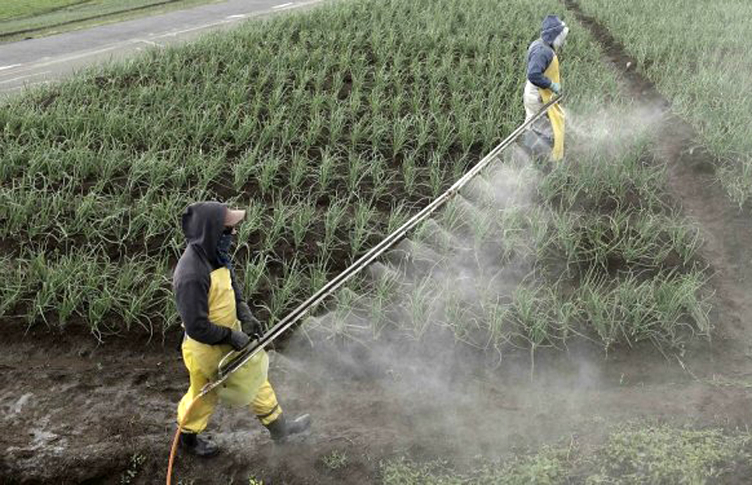 España es el país que más pesticidas ha vendido en 2016, según Eurostat