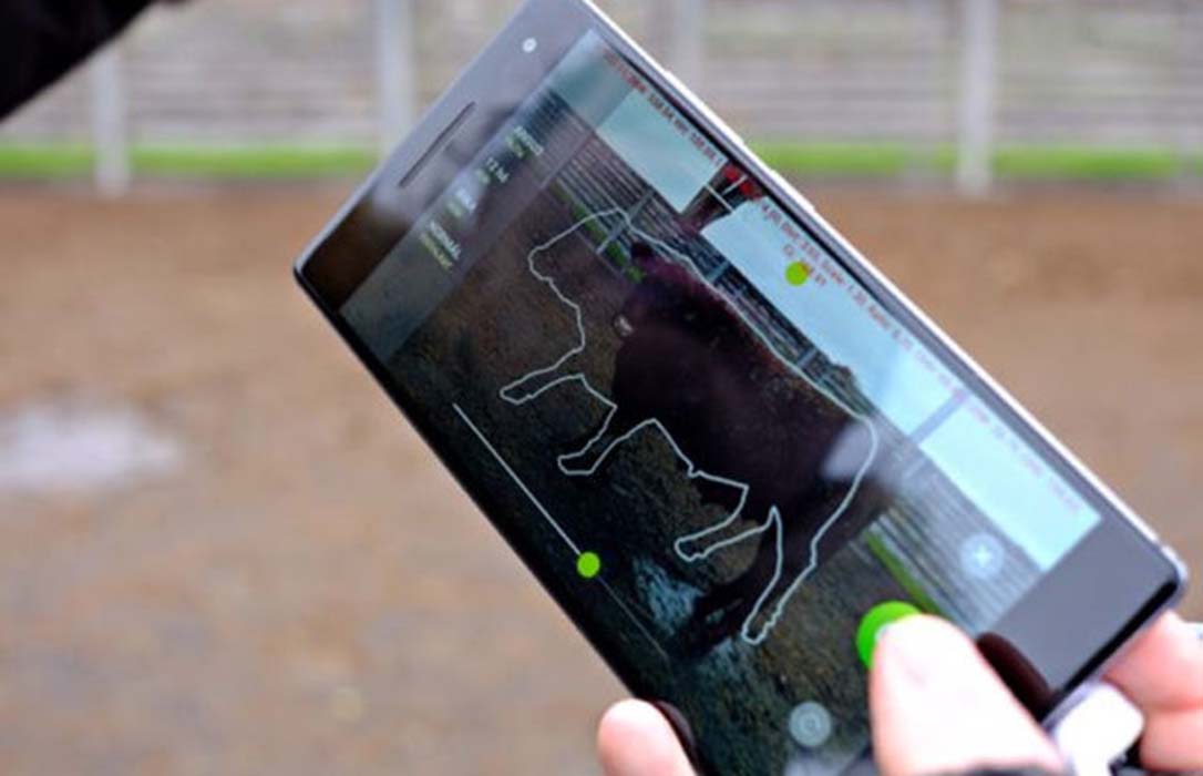 Beefie, la nueva aplicación para smartphones que calcula el peso del ganado con un 95% de precisión