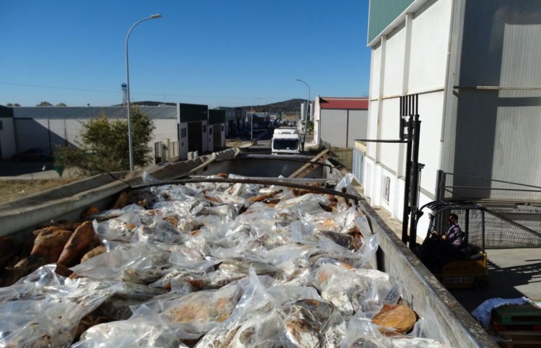 Retiradas más de 4.000 paletas de jamón con etiqueta falsa de ibérico tras una denuncia de Asici
