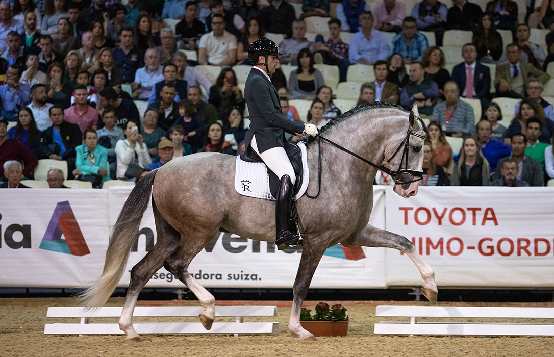 Yucatán de Ramos, el caballo propiedad de Sergio Ramos, se proclama Campeón del Mundo 2018 en SICAB