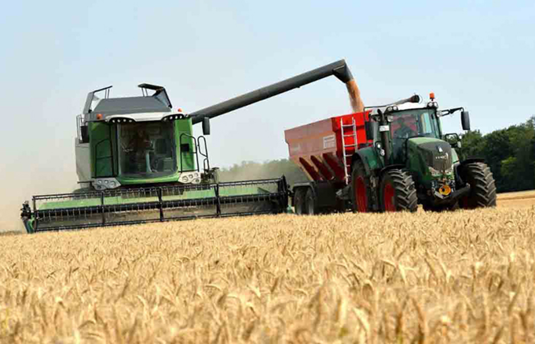 El trigo blando vuelve a ser el único que se salva de una nueva caída casi generaliza de los precios mayoristas