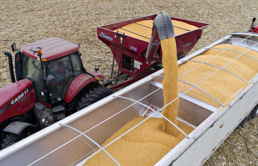 Nuevo frenazo: El mercado intenta digerir la subida de precios de los cereales que se produjeron en noviembre