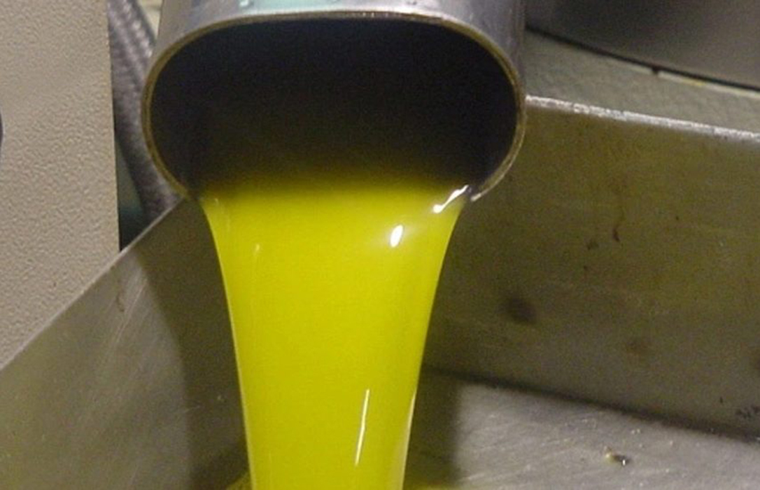Grupo Interóleo se suma a la cata responsable de aceite de oliva con vasos biodegradables de Elaia Zait