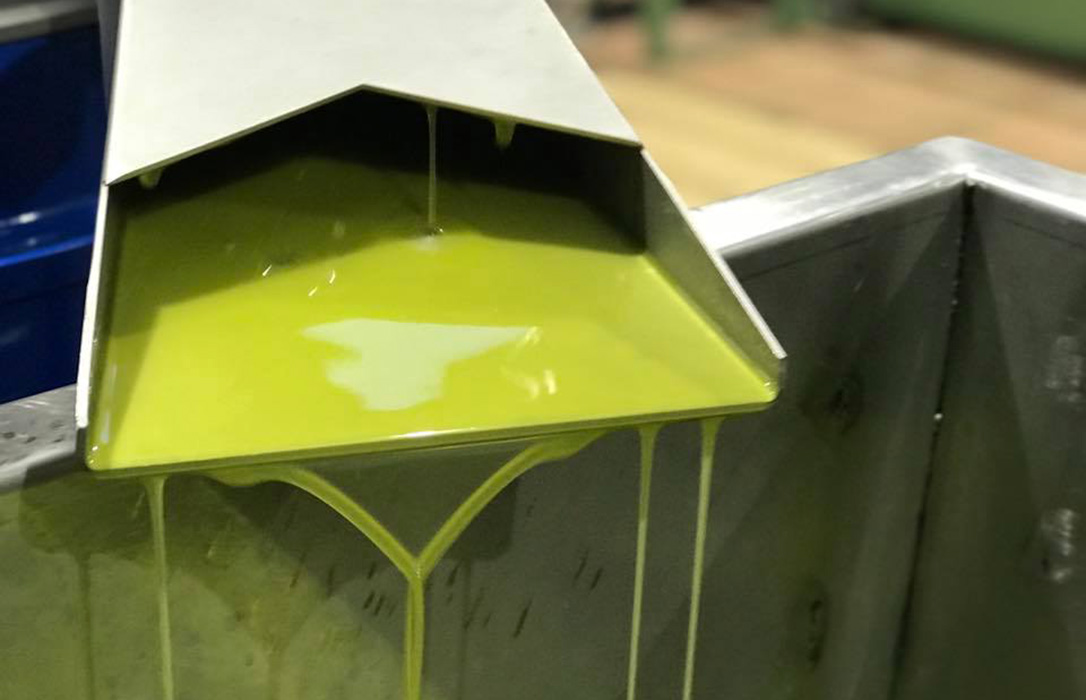 Detectan pocas salidas de aceite de oliva al mercado por el retraso de la producción