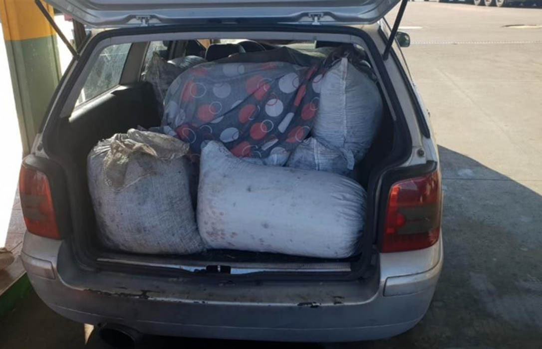 Tres detenidos por el robo de 2.100 kilos de aceitunas en la población pacense de Alcazaba
