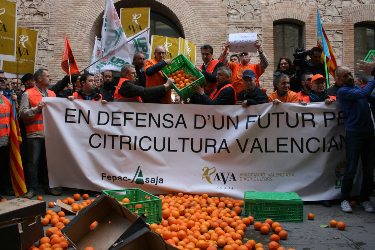 La crisis de precios de la naranja vuelve a la calle: Reparto gratuito como señal de protesta