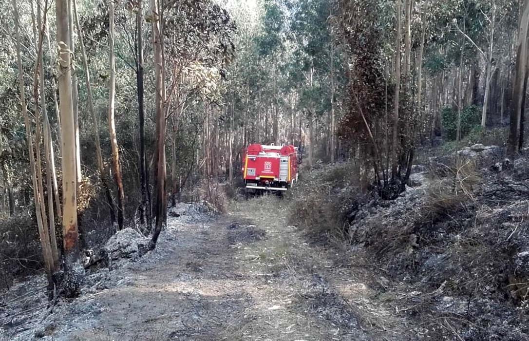 Cantabria: Ya son 50 los incendios forestales activos, a dos los detenidos y todo el mundo mira a los ganaderos