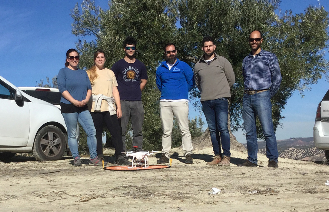 Droneolive, el proyecto que permite anticipar el estado fisiológico y las necesidades nutricionales del olivar