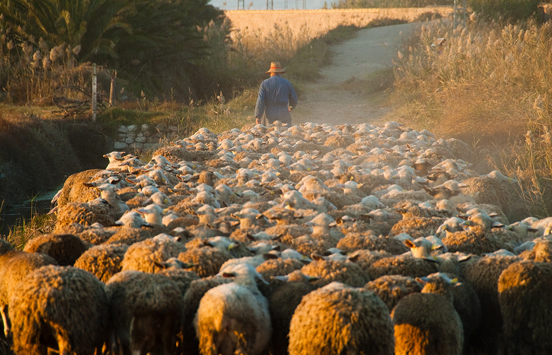 España en el Foro Rural Mundial: Una «revolución global» para proteger e impulsar la agricultura y ganadería familiar