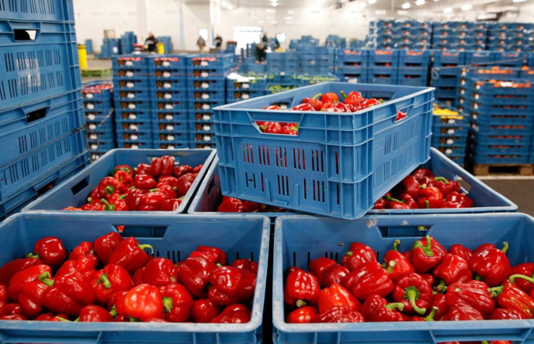El sector exige al Gobierno y la UE la apertura del mercado ruso a las frutas y hortalizas españolas