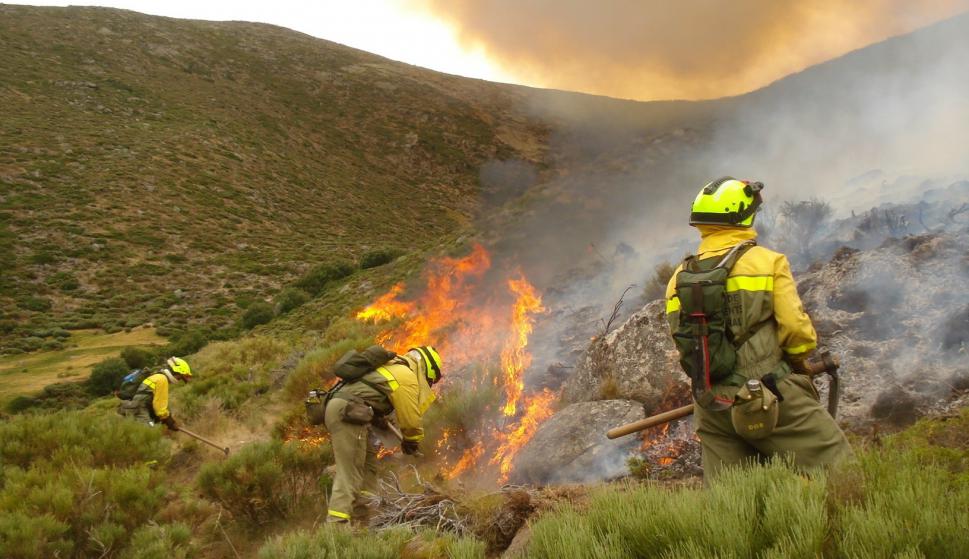 El Gobierno autoriza el acuerdo por el que se reconoce a las BRIF la categoría de bombero forestal