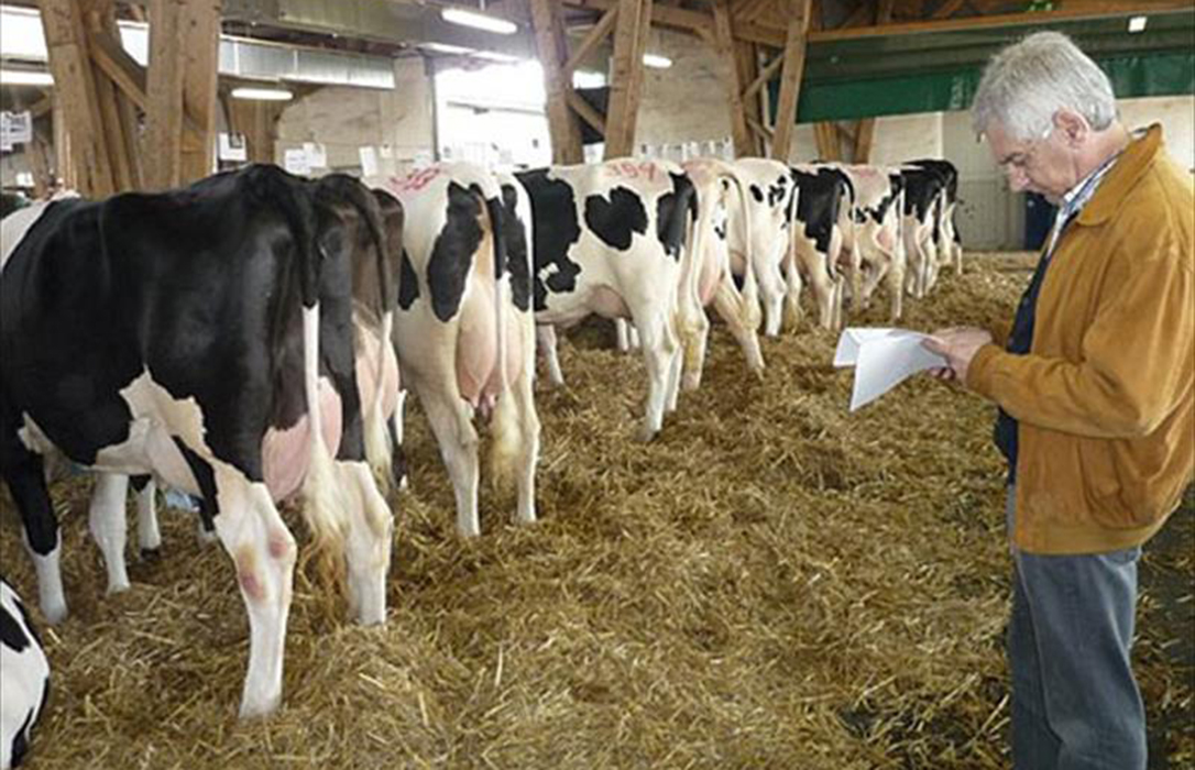 Reclaman a los partidos catalanes que defiendan al sector de la leche y acaben con el pacto de precios en esta CCAA