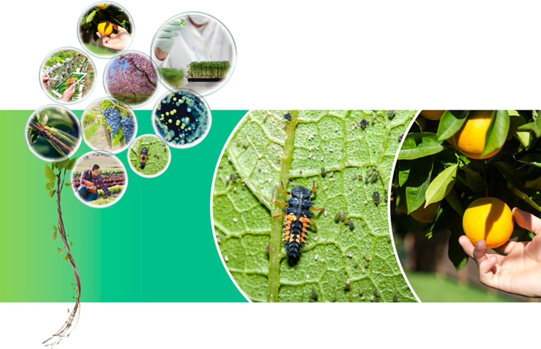 El Foro de BioProtección Vegetal constituye un Comité Científico-Técnico integrado por expertos en control biológico