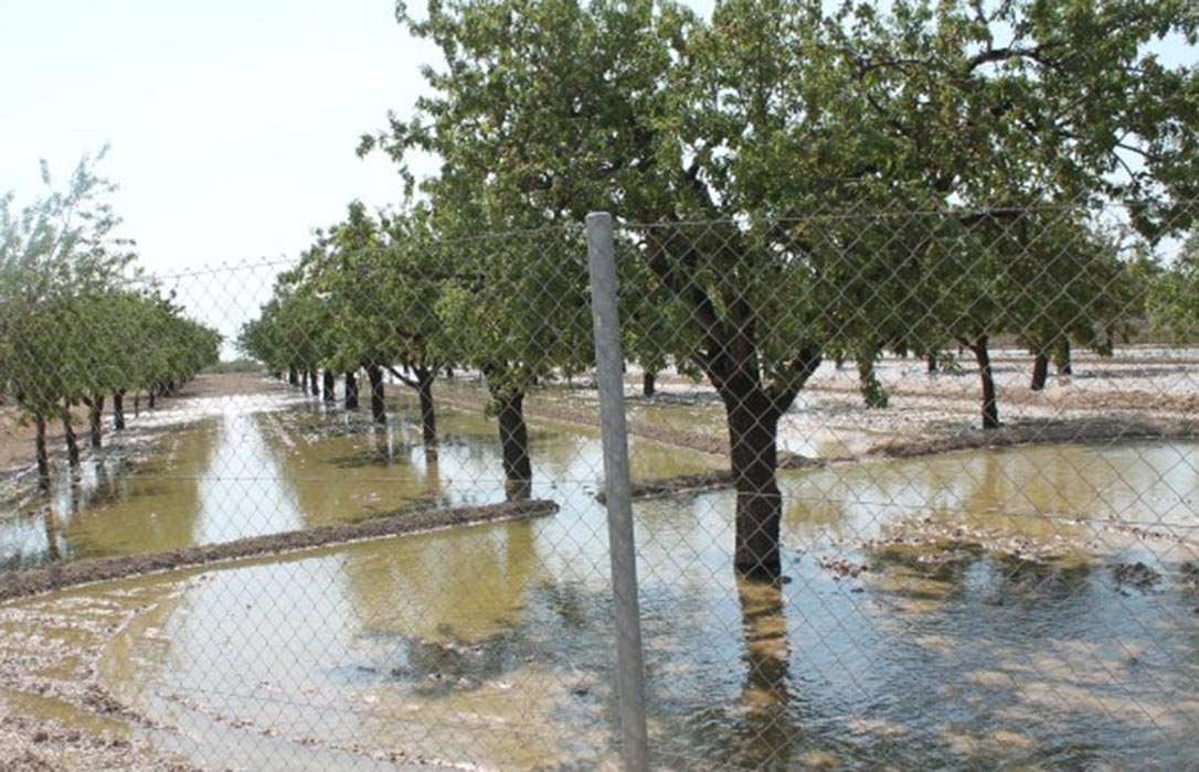El mes de abril ha sido el segundo más lluvioso del siglo XXI que ha dado un respiro al campo español