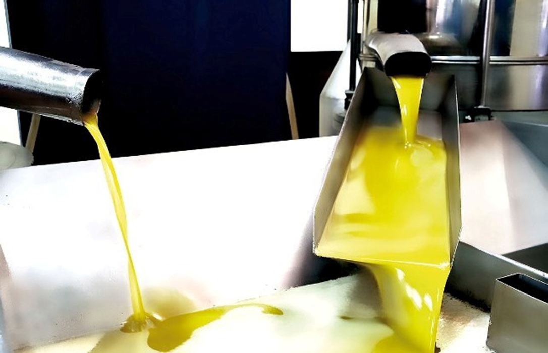 Nueva denuncia por el permanente abuso de la industria envasadora en el sector del aceite de oliva