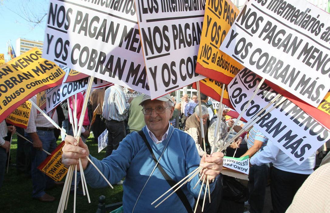 La amenaza se hace realidad: El sector olivarero convoca la primera protesta a final de mes por los bajos precios