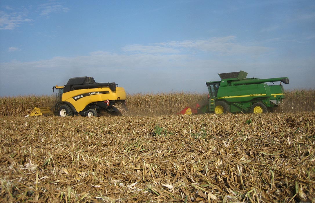 Se mantiene la tendencia negativa en los precios de los cereales, pese a que esta semana sube algo el maíz