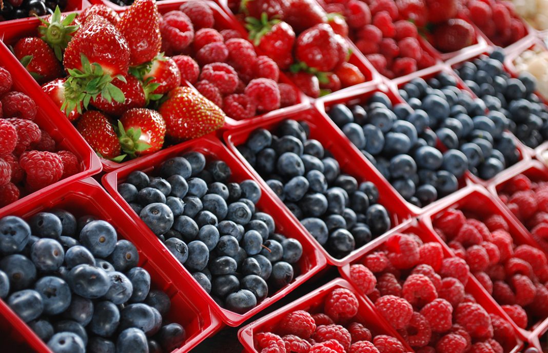Las Berries de México “ponen sus ojos” en el mercado europeo, asiático y medio oriente