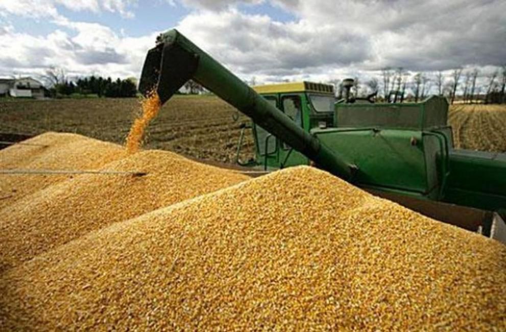 Nada cambia en el sector cerealista: Los precios siguen a la baja aunque moderan algo su caída