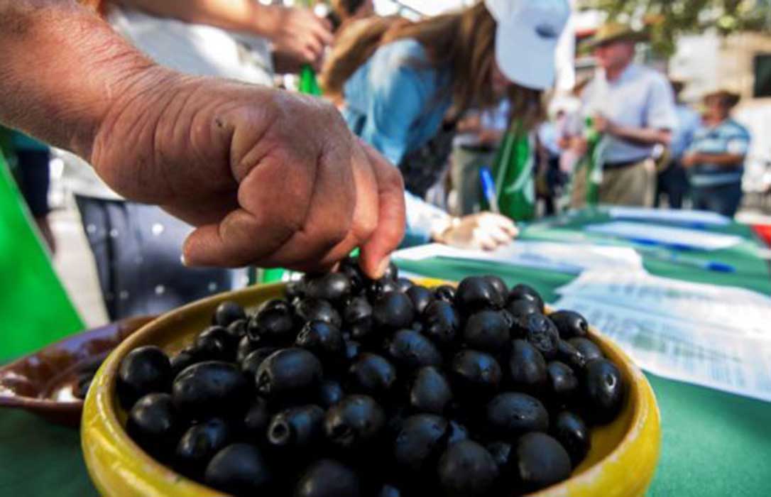 La OMC crea un grupo para investigar los aranceles de EEUU a las aceitunas negras españolas