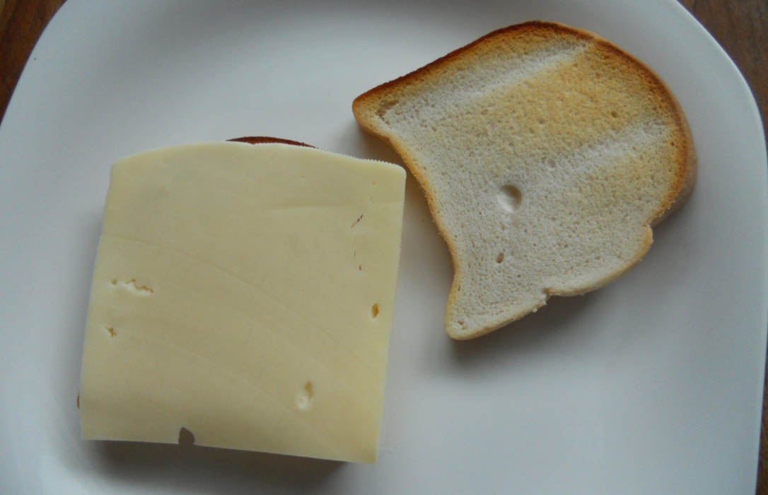 Un pastor emprendedor busca producir queso artesanal ecológico con energía verde