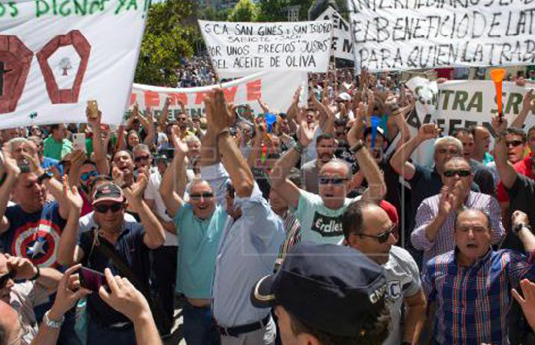 Motivos para otra protesta: Los olivareros alertan que de el precio en origen está en 2 euros/kilo y los costes, en 2,70