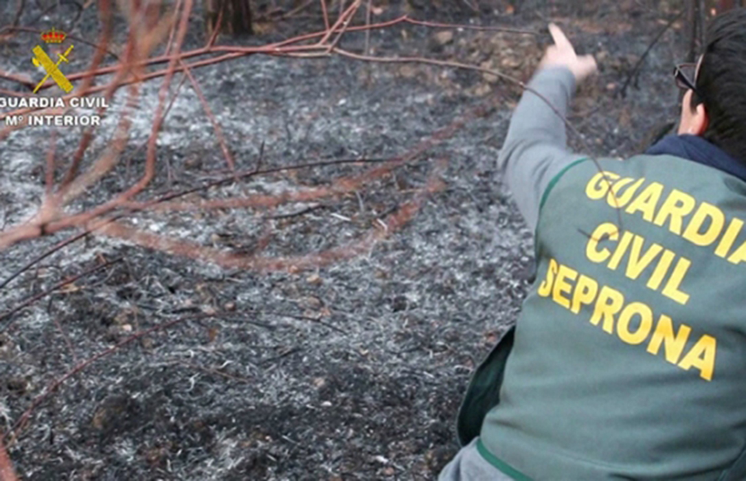 La Guardia Civil potencia la investigación de los incendios forestales, que suben un 140% en cinco meses
