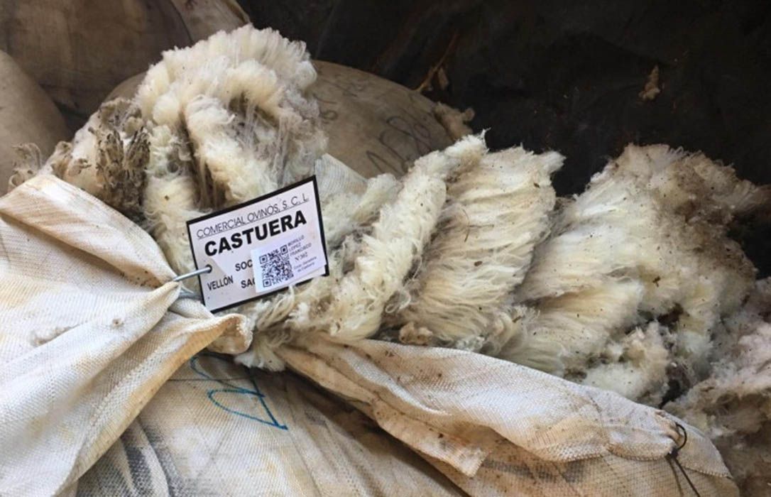 Filotat adquiere y adapta tecnologías para agilizar la toma de muestras y análisis de las partidas de lana